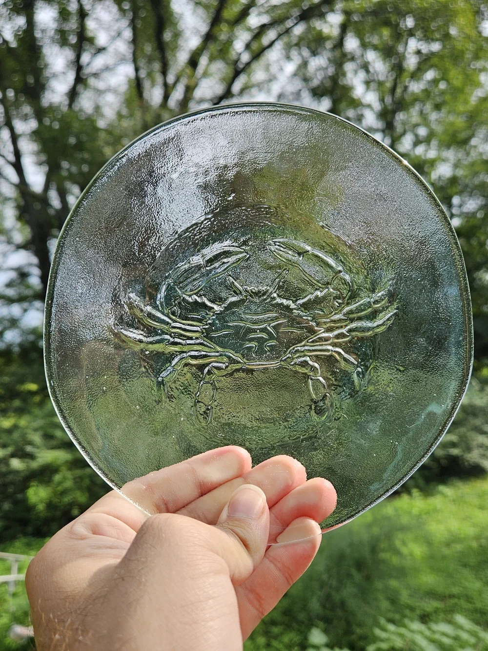 Set of 4 Clear Glass Seafood Motif Plates Appetizer Sized